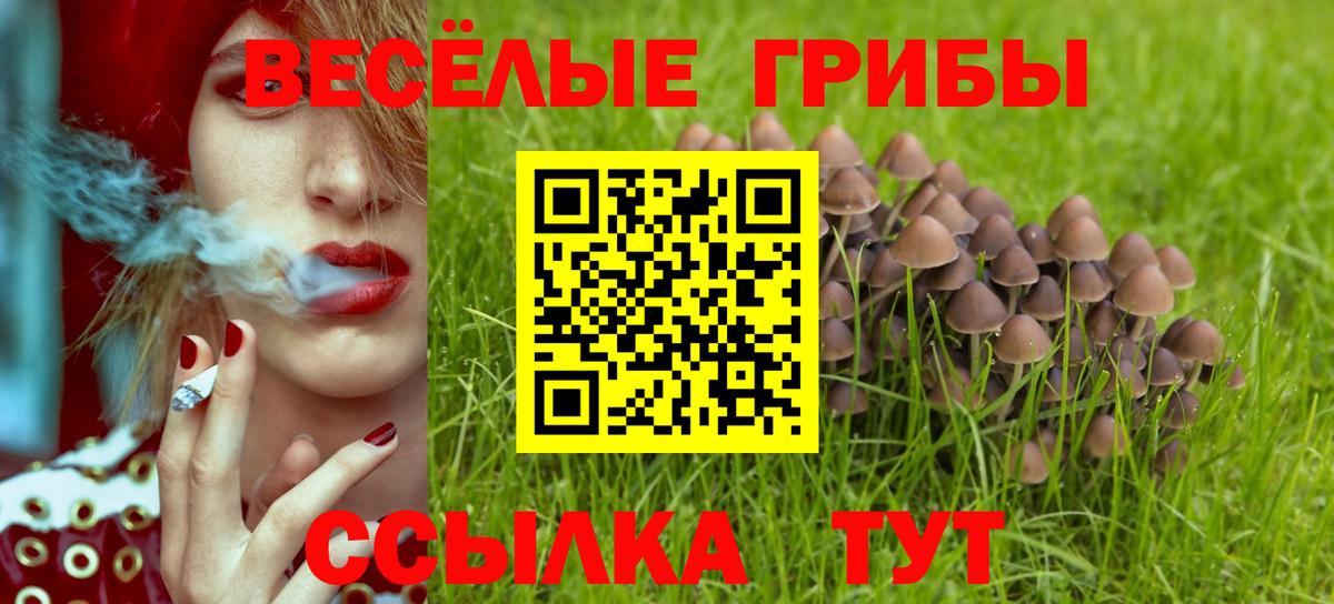 Галлюциногенные грибы MAGIC MUSHROOMS  Вход с VPN  Верхний Уфалей 