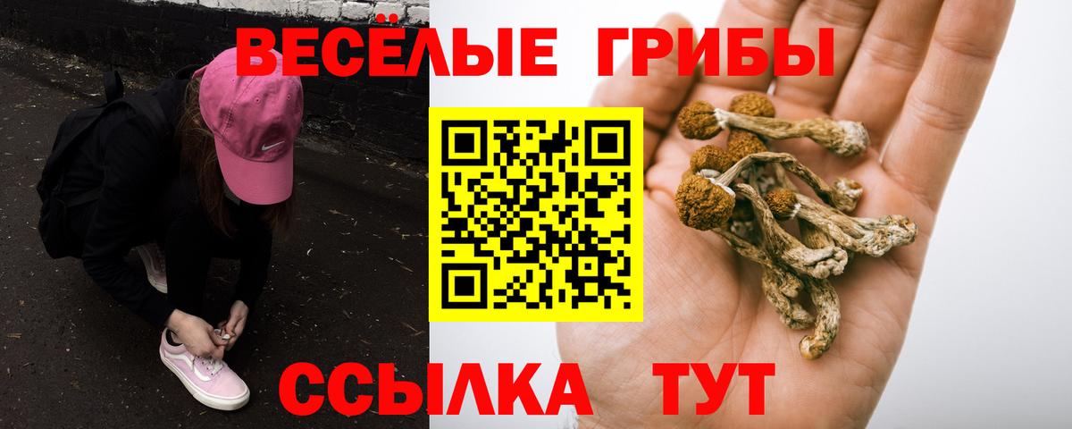 Галлюциногенные грибы Cubensis Верхний Уфалей